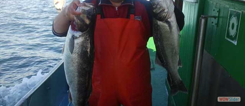 Pesca
