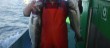 Pesca